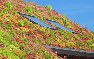 North Weirs living roof systems